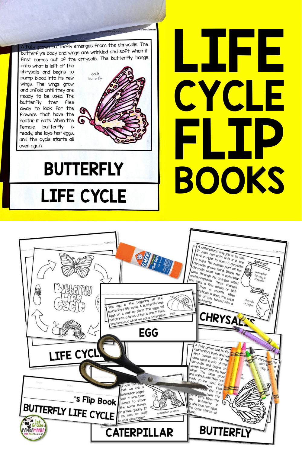 EASY FLIP Book Fun For Plant And Animal Life Cycles - 1st Grade Pandamania